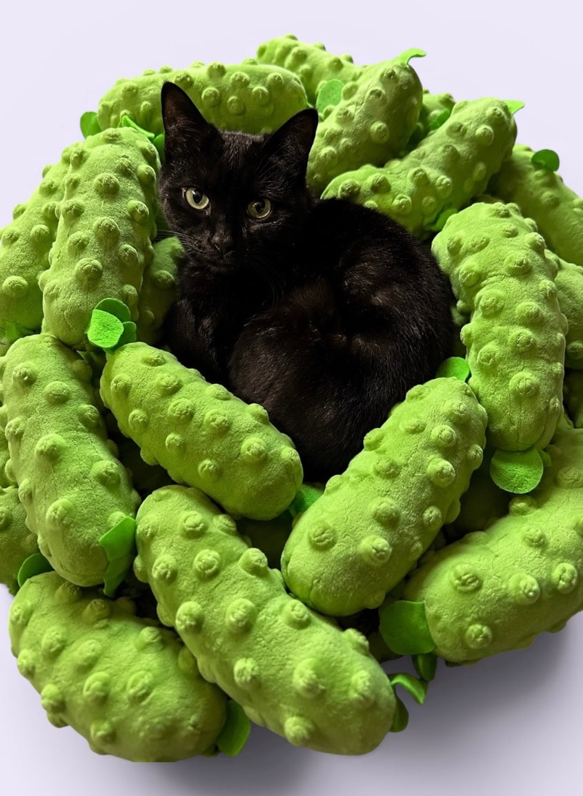 Mini Pickles - Catnip Cat Toy
