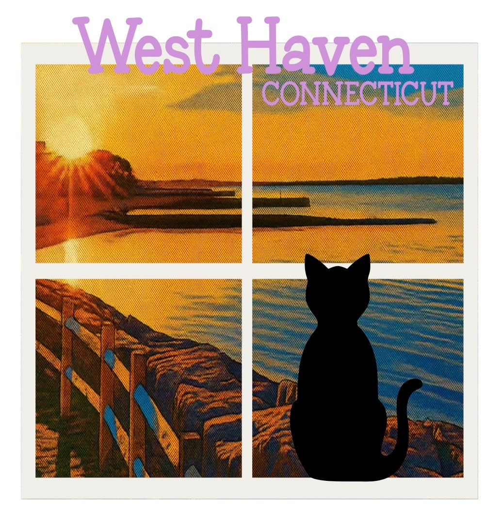 Purrfect View Cat Window Vinyl Sticker - West Haven