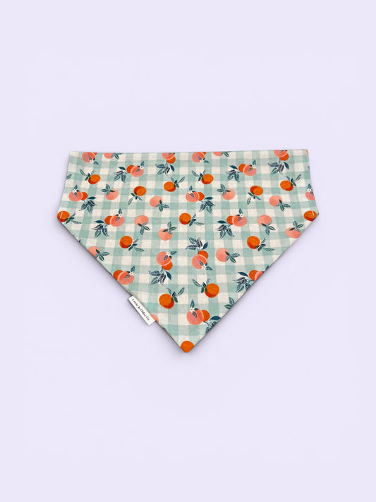 Dog Bandana - Over the Collar - Peaches