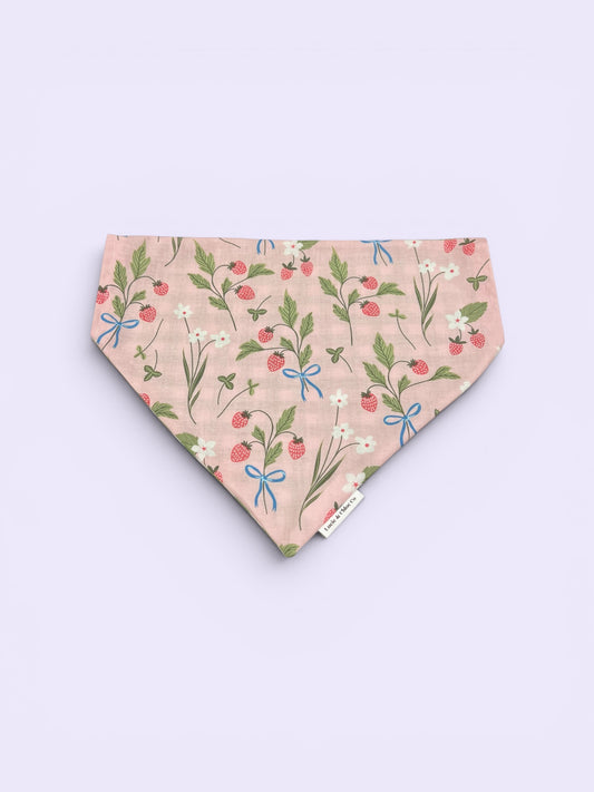 Dog Bandana - Over the Collar - Strawberries