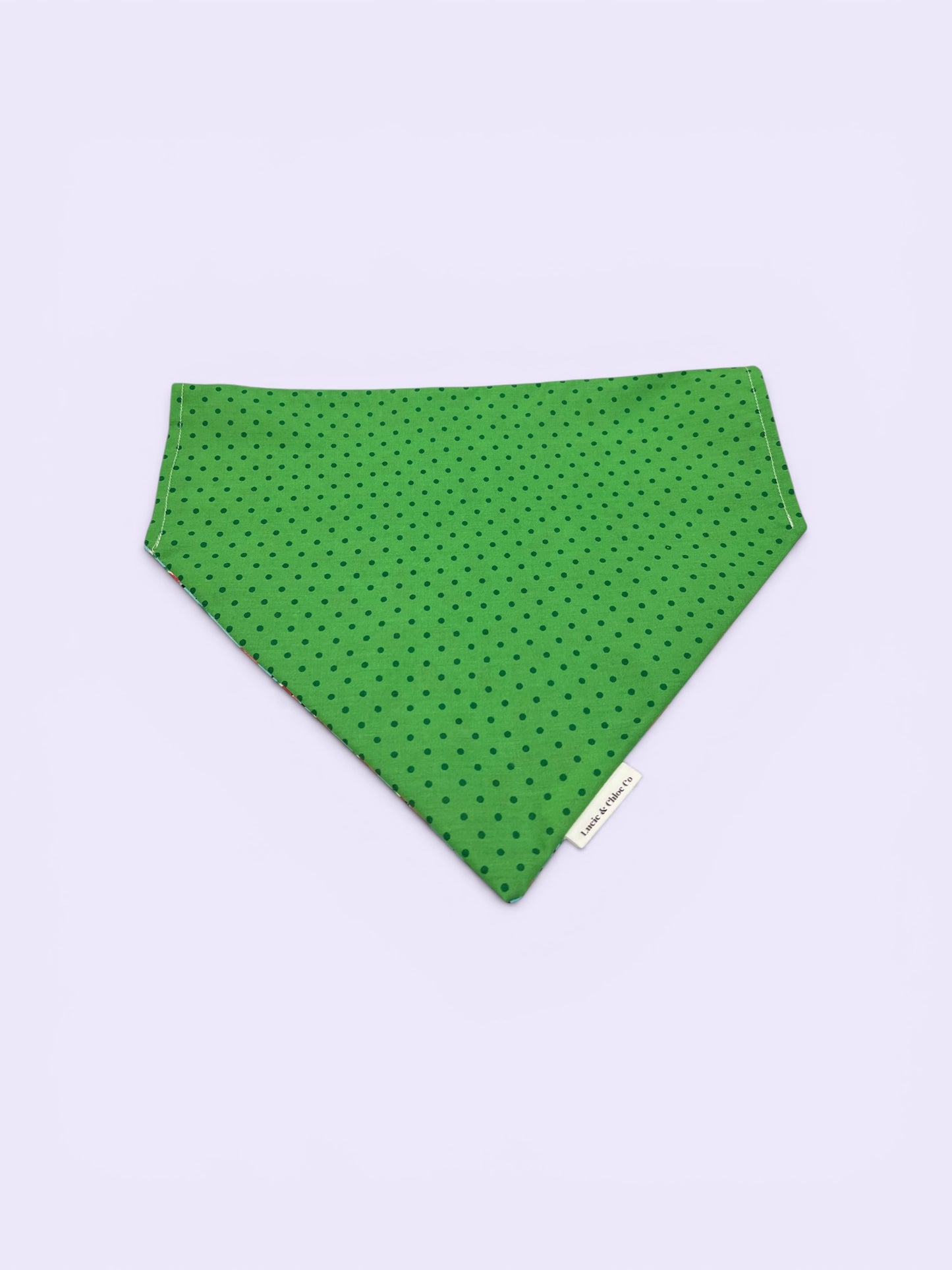 Dog Bandana - Over the Collar - Watermelons