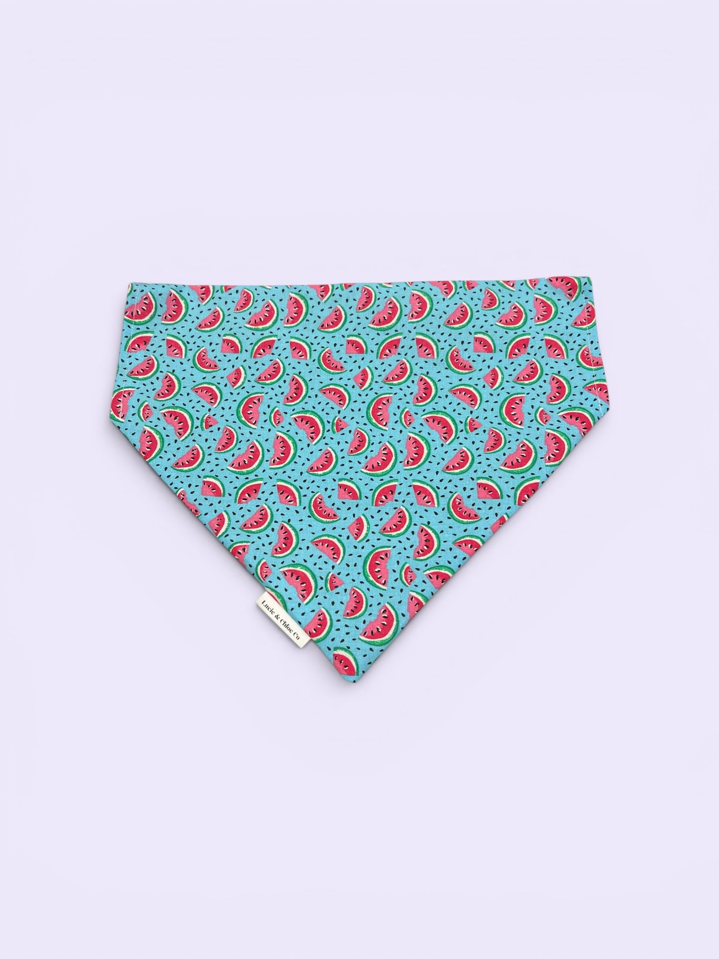 Dog Bandana - Over the Collar - Watermelons