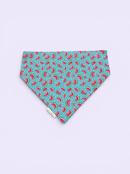 Dog Bandana - Over the Collar - Watermelons