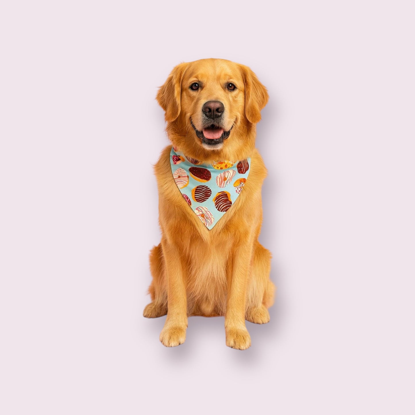 Dog Bandana - Over the Collar - Donuts