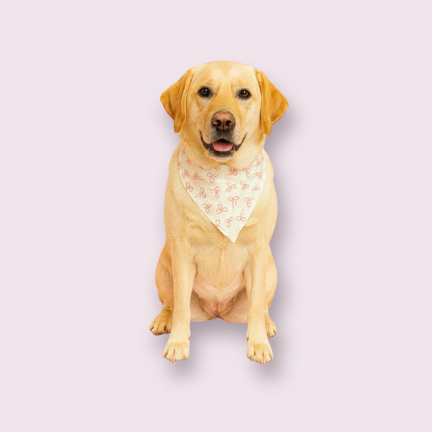 Dog Bandana - Over the Collar - Pink Coquette Bows
