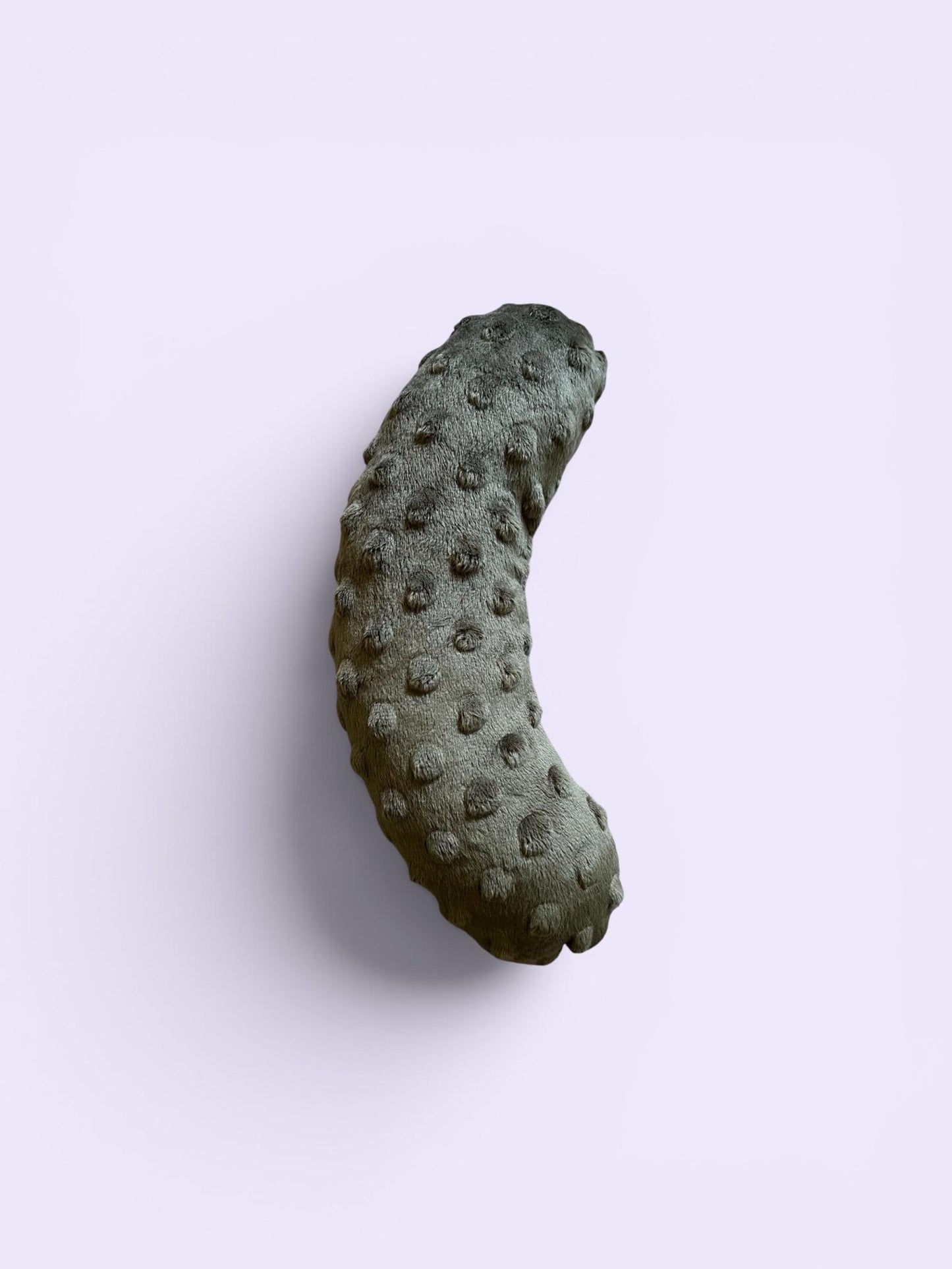 Pickles - Catnip Cat Toy